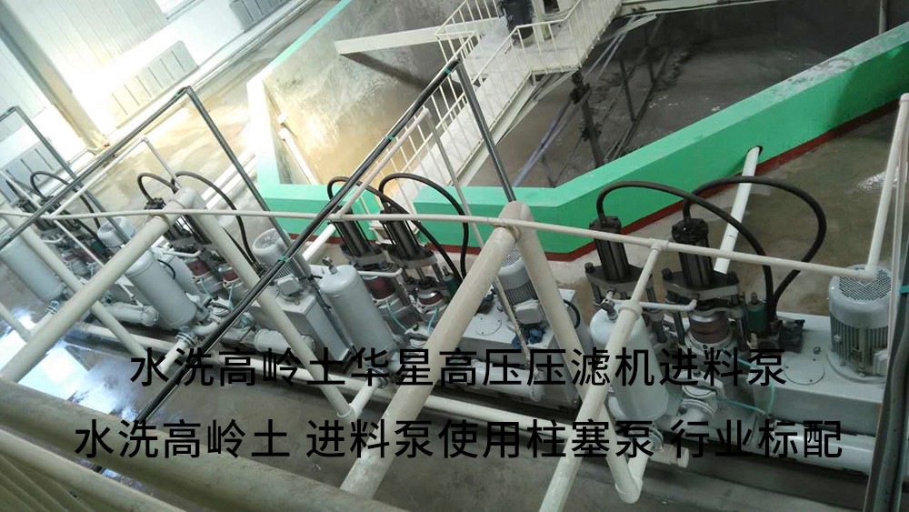 水洗高嶺土高壓壓濾機進料泵3